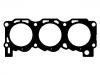 прокладка цилиндра Cylinder Head Gasket:6 073 140