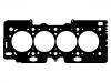 Cylinder Head Gasket:0209.Z1
