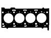 прокладка цилиндра Cylinder Head Gasket:48 18 005