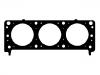 прокладка цилиндра Cylinder Head Gasket:10118604