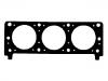 прокладка цилиндра Cylinder Head Gasket:24507249