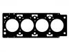 прокладка цилиндра Cylinder Head Gasket:4804888