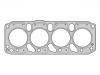 Cylinder Head Gasket:6 474 024