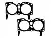 прокладка цилиндра Cylinder Head Gasket:1 446 447