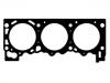 прокладка цилиндра Cylinder Head Gasket:10104900