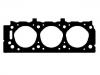 прокладка цилиндра Cylinder Head Gasket:10110200