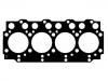 прокладка цилиндра Cylinder Head Gasket:1 050 369