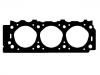 прокладка цилиндра Cylinder Head Gasket:10141500