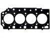 Cylinder Head Gasket:22311-4A110