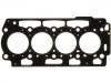 прокладка цилиндра Cylinder Head Gasket:0209.AF