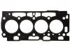 Cylinder Head Gasket:0209.GW