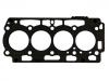 Cylinder Head Gasket:0209.JQ
