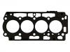 Cylinder Head Gasket:0209.JN