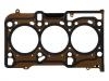 прокладка цилиндра Cylinder Head Gasket:55 569 624