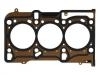 прокладка цилиндра Cylinder Head Gasket:55 569 623