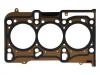 прокладка цилиндра Cylinder Head Gasket:55 569 622
