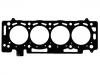 Cylinder Head Gasket:1 876 007