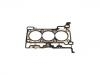 прокладка цилиндра Cylinder Head Gasket:2116288