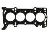 Cylinder Head Gasket:P51B-10-271