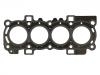 прокладка цилиндра Cylinder Head Gasket:1907064